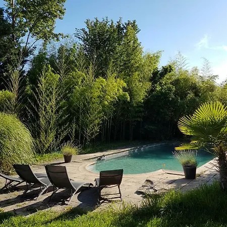 Studio A Montfavet Awinion